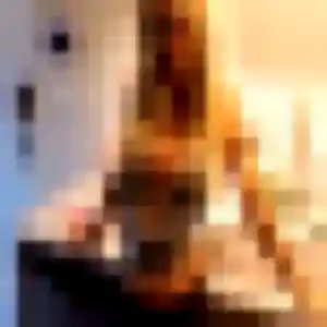Maeva, 24 ans, dispo pour plan cul à Petersbach