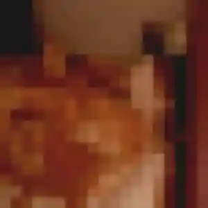 Photo de Patricia à Petit-Couronne (39 ans) - plan cul anonyme