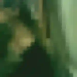 Profil de Zina à Peymeinade (32 ans) - plan cul anonyme