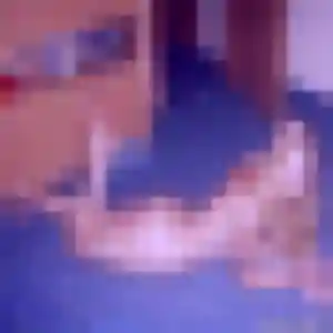 Morgane, femme de 38 ans propose plan cul à Pézilla-la-Rivière