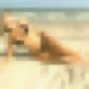 Muriel, 31 ans, disponible à Piégut-Pluviers pour une rencontre coquine