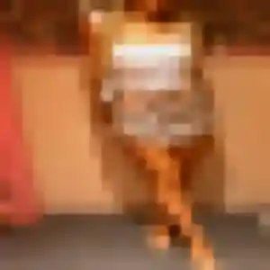Rejoins Brigitte, 44 ans à Pierre-Châtel en privé