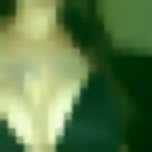 Profil de Marine à Pierrefitte-sur-Sauldre (36 ans) - plan cul sans inscription