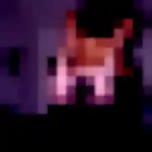 Photo de Candice à Pierric (37 ans) - plan cul discret
