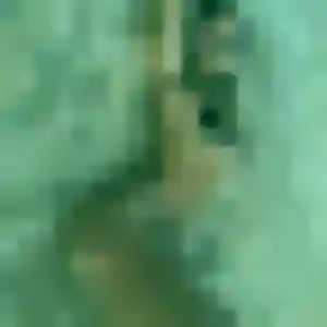 Isabelle, 28 ans, dispo pour plan cul à Pinsaguel