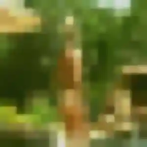 Contacte Elise, 34 ans à Plaine-et-Vallées en privé