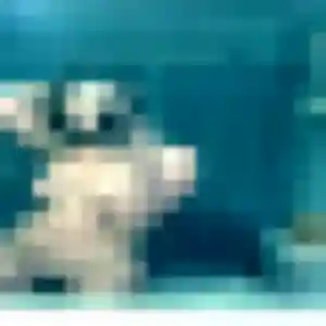 Jolie Luna, 23 ans à Plateau-des-Petites-Roches - voir sa photo