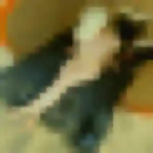 Honorine (24 ans) à Pleurs cherche une rencontre maintenant