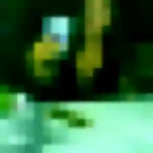 Photo de Djamila à Poillé-sur-Vègre (39 ans) - plan cul gratuit