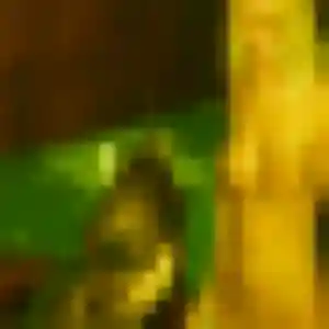 Lisa (42 ans) à Pomérols cherche une rencontre aujourd'hui