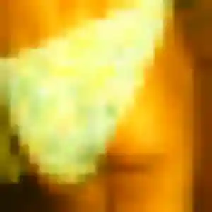 Photo de Clemence à Pont-d'Ouilly (31 ans) - plan cul anonyme