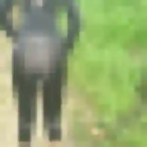 Laetitia, femme de 24 ans cherche plan cul à Pont-de-Barret