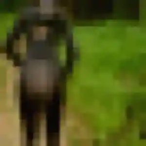 Profil de Berthe à Pont-de-l'Isère (43 ans) - plan cul anonyme