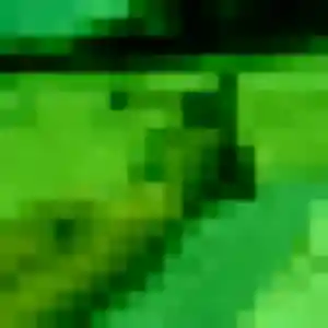 Rencontre Eden, 37 ans à Port-Jérôme-sur-Seine en privé