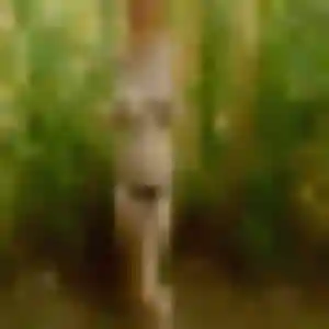 plan cul à Poses : photo de Sasha, 34 ans - accès libre