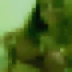 Nathalie, 31 ans, connectée à Pougues-les-Eaux pour une rencontre coquine