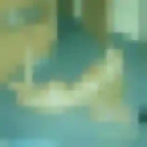 Olympe, femme de 27 ans cherche plan cul à Pouillé-les-Côteaux