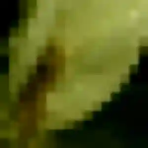 Djamila, 37 ans, veut un plan cul à Pouilley-les-Vignes