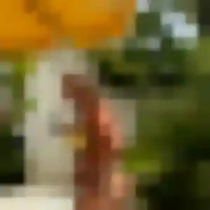 Photo exclusive de Celeste, 39 ans à Poullaouen - plan discret