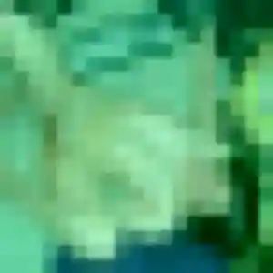 Photo privée de Ximena, 42 ans à Presles - rencontre sans lendemain
