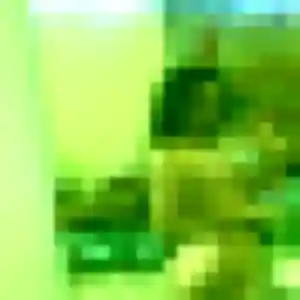 Rejoins Djamila, 32 ans à Prissé en privé