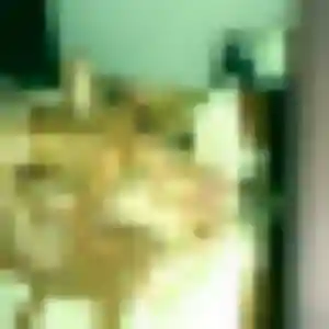 plan cul à Pruillé-le-Chétif : photo de Fernande, 42 ans - sans engagement