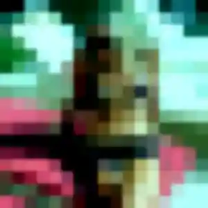 Marceline, 44 ans, dispo pour plan cul à Pruillé-le-Chétif