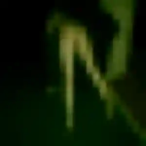 Photo privée de Zelie, 25 ans à Puceul - rencontre coquine