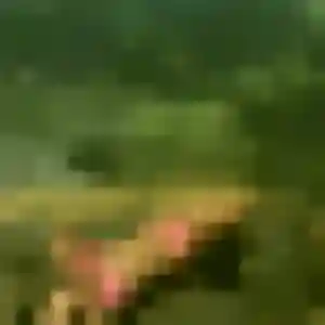 Adeline (45 ans) à Puymoyen attend un plan cul ce soir