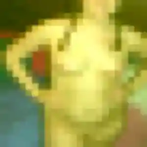 Sarah-Lou (36 ans) à Quelaines-Saint-Gault propose une rencontre rapidement