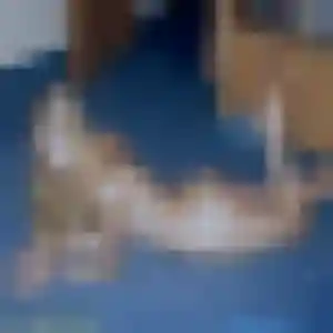 Profil de Marie-Claire à Queyrac (32 ans) - plan cul discret