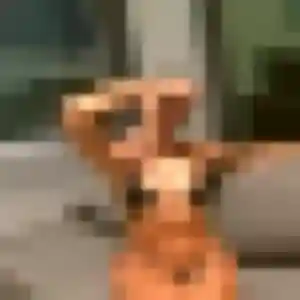 Profil de Perrine à Ramonchamp (28 ans) - plan cul gratuit