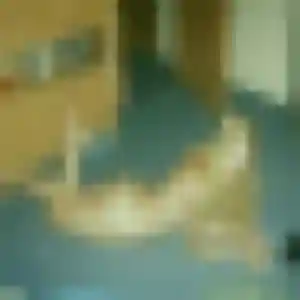 Profil de Maya à Ranguevaux (34 ans) - plan cul gratuit