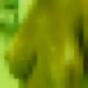 Suzanne, 23 ans, connectée à Razac-sur-l'Isle pour une rencontre coquine