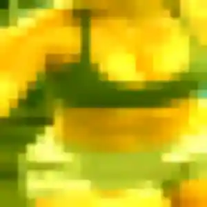 Photo exclusive de Marie-Laure, 39 ans à Réaup-Lisse - plan discret