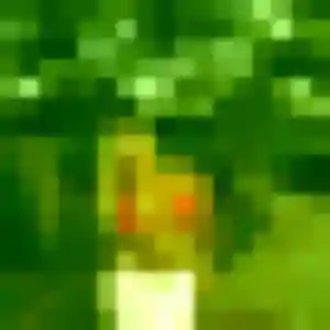 Jolie Pascale, 25 ans à Rehainviller - découvrir son profil