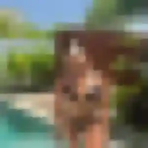 Photo de Vanessa à Rehainviller (40 ans) - plan cul sans inscription