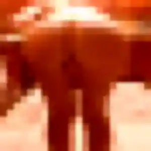 Photo exclusive de Simone, 44 ans à Rétaud - rencontre sans lendemain