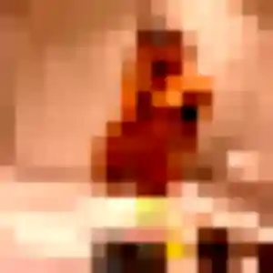 Rejoins Nathalie, 44 ans à Rochefort-Montagne gratuitement