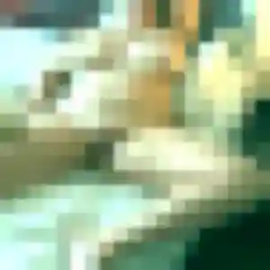 Sophie (23 ans) à Rogerville cherche un plan cul maintenant