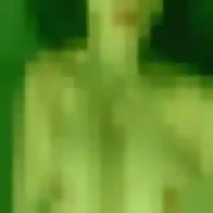 Rejoins Nina, 36 ans à Roiffieux gratuitement