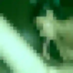 plan cul à Roissy-en-France : photo de Marceline, 44 ans - sans engagement