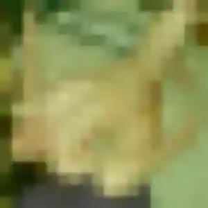 Jolie Mia, 36 ans à Roncherolles-sur-le-Vivier - découvrir son profil