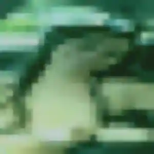 Victoria de Roncherolles-sur-le-Vivier, 45 ans - plan cul en toute liberté