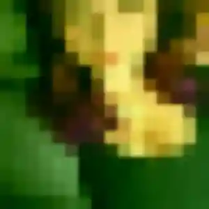 Photo perso de Emma, 31 ans à Roquemaure - plan discret