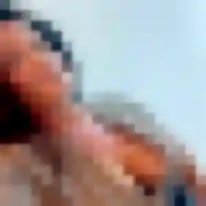 Rencontre Nadia, 38 ans à Rosel gratuitement