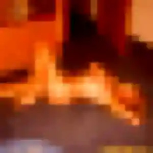 Photo sexy de Bertille, 29 ans à Rosnoën - rencontre coquine