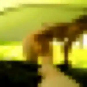 Photo de Sophie à Rouvres (26 ans) - plan cul discret