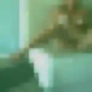 Jade (40 ans) à Rubrouck attend une rencontre ce soir