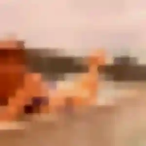 Garance, femme de 24 ans veut plan cul à Rueil-Malmaison